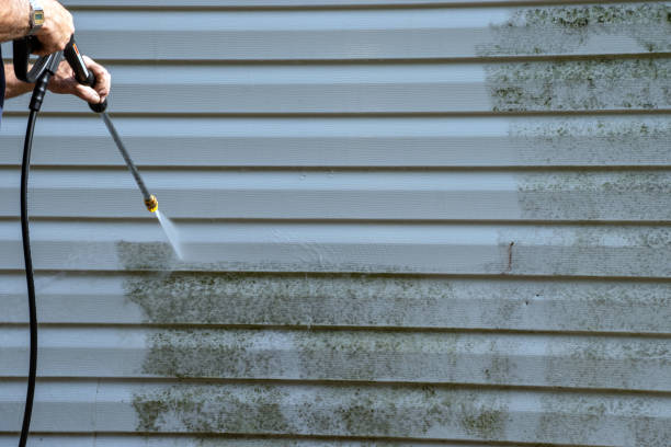 Best Composite Siding  in Margate City, NJ