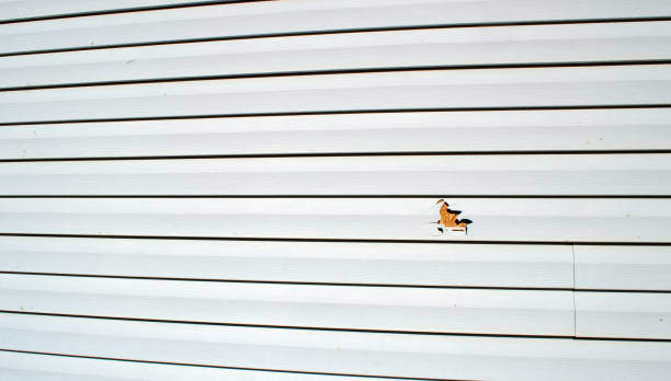 Margate City, NJ Siding Installation & Repair Company