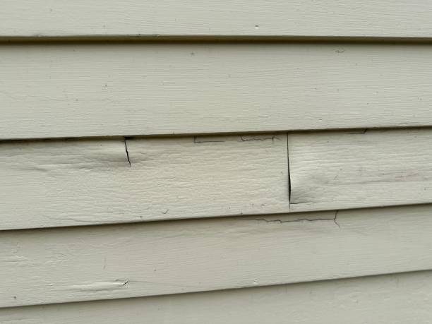 Best Residential Vinyl Siding Installation  in Margate City, NJ